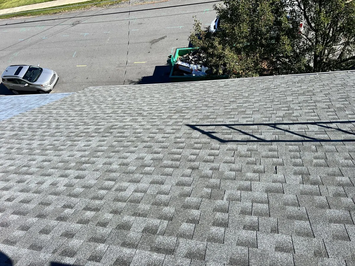 New architectural shingle roof installed by DryMaster